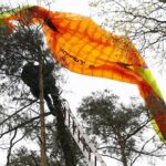 24.05.2021 Masłów. Akcja ratunkowa motolotniarza, który wylądował na drzewie / Wiktor Taszłow / Radio Kielce