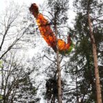 24.05.2021 Masłów. Akcja ratunkowa motolotniarza, który wylądował na drzewie / Wiktor Taszłow / Radio Kielce