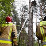 24.05.2021 Masłów. Akcja ratunkowa motolotniarza, który wylądował na drzewie / Wiktor Taszłow / Radio Kielce