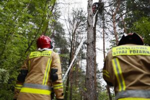 24.05.2021 Masłów. Akcja ratunkowa motolotniarza, który wylądował na drzewie / Wiktor Taszłow / Radio Kielce