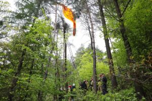 24.05.2021 Masłów. Akcja ratunkowa motolotniarza, który wylądował na drzewie / Wiktor Taszłow / Radio Kielce