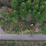 07.05.2021 Trasa Zagnańsk - Siodła. Wycinka drzew pod budowę ścieżki rowerowej / Jarosław Kubalski / Radio Kielce