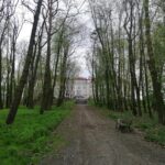 05.05.2021. Busko-Zdrój. Budowa kładki pieszo-rowerowej oraz przebudowa ulicy Rokosza / Marta Gajda / Radio Kielce