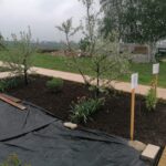 14.05.2021 Gorzków w gminie Kazimierza Wielka. Ogród Biblijny / Marta Gajda / Radio Kielce