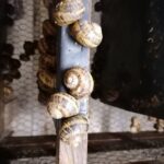 20.05.2021 Rzędów. Hodowla ślimaków / Marta Gajda / Radio Kielce