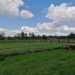 20.05.2021 Rzędów. Hodowla ślimaków / Marta Gajda / Radio Kielce