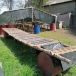 20.05.2021 Rzędów. Hodowla ślimaków / Marta Gajda / Radio Kielce