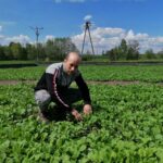 20.05.2021 Rzędów. Hodowla ślimaków. Na zdjęciu Robert Łocha - właściciel / Marta Gajda / Radio Kielce