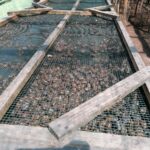 20.05.2021 Rzędów. Hodowla ślimaków / Marta Gajda / Radio Kielce