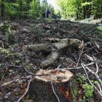 27.05.2021. Droga powiatowa Kielce - Zagnańsk / Jarosław Kubalski / Radio Kielce