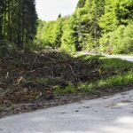 27.05.2021. Droga powiatowa Kielce - Zagnańsk / Jarosław Kubalski / Radio Kielce