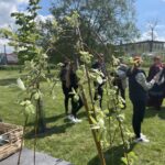 21.05.2021 Starachowice. Akcja Wierzby w Wierzbniku / Anna Głąb / Radio Kielce