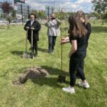 21.05.2021 Starachowice. Akcja Wierzby w Wierzbniku / Anna Głąb / Radio Kielce