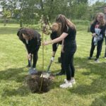 21.05.2021 Starachowice. Akcja Wierzby w Wierzbniku / Anna Głąb / Radio Kielce