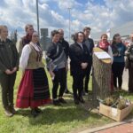 21.05.2021 Starachowice. Akcja Wierzby w Wierzbniku / Anna Głąb / Radio Kielce