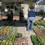 09.05.2021. Kielce. Sadzonki na Miejskim Placu Targowym w Kielcach / Kamil Król / Radio Kielce