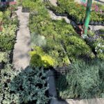 09.05.2021. Kielce. Sadzonki na Miejskim Placu Targowym w Kielcach / Kamil Król / Radio Kielce