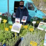 09.05.2021. Kielce. Sadzonki na Miejskim Placu Targowym w Kielcach / Kamil Król / Radio Kielce