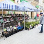 29.05.2021. Kielce. Akcja: Budzenie Sienkiewki / Wiktor Taszłow / Radio Kielce