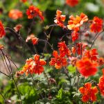 30.05.2021. Kielce. Ogród botaniczny / Wiktor Taszłow / Radio Kielce