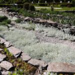 30.05.2021. Kielce. Ogród botaniczny / Wiktor Taszłow / Radio Kielce