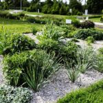 30.05.2021. Kielce. Ogród botaniczny / Wiktor Taszłow / Radio Kielce