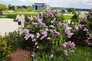 30.05.2021. Kielce. Ogród botaniczny / Wiktor Taszłow / Radio Kielce