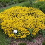 30.05.2021. Kielce. Ogród botaniczny / Wiktor Taszłow / Radio Kielce