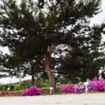 30.05.2021. Kielce. Ogród botaniczny / Wiktor Taszłow / Radio Kielce