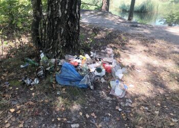 13.08.2020 Cedzyna. Śmieci zalegające w lesie nad zalewem / Jarosław Kubalski / Radio Kielce