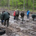 19.05.2021. Suków-Papiernia. Gospodarstwo Nasienno-Szkółkarskie. Akcji "Łączą nas drzewa" / Starostwo Powiatowe w Kielcach