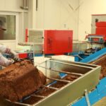 19.05.2021. Suków-Papiernia. Gospodarstwo Nasienno-Szkółkarskie. Akcji "Łączą nas drzewa" / Starostwo Powiatowe w Kielcach