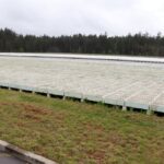 19.05.2021. Suków-Papiernia. Gospodarstwo Nasienno-Szkółkarskie. Akcji "Łączą nas drzewa" / Starostwo Powiatowe w Kielcach