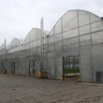 19.05.2021. Suków-Papiernia. Gospodarstwo Nasienno-Szkółkarskie. Akcji "Łączą nas drzewa" / Starostwo Powiatowe w Kielcach