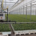 19.05.2021. Suków-Papiernia. Gospodarstwo Nasienno-Szkółkarskie. Akcji "Łączą nas drzewa" / Starostwo Powiatowe w Kielcach