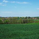 Karwów. Źródełko bł. Wincentego Kadłubka i jego okolice / Emilia Sitarska / Radio Kielce