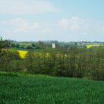 Karwów. Źródełko bł. Wincentego Kadłubka i jego okolice / Emilia Sitarska / Radio Kielce