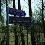 Karwów. Źródełko bł. Wincentego Kadłubka i jego okolice / Emilia Sitarska / Radio Kielce