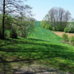 Karwów. Źródełko bł. Wincentego Kadłubka i jego okolice / Emilia Sitarska / Radio Kielce