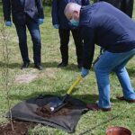 06.05.2021. Bukowie, gm. Kunów. Sadzenie buków. Na zdjęciu: Lech Łodej - burmistrz Kunowa / Emilia Sitarska / Radio Kielce