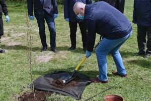 06.05.2021. Bukowie, gm. Kunów. Sadzenie buków. Na zdjęciu: Lech Łodej - burmistrz Kunowa / Emilia Sitarska / Radio Kielce