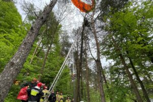 24.05.2021 Masłów. Akcja ratunkowa paralotniarza zawieszonego na drzewie / Wiktor Taszłow