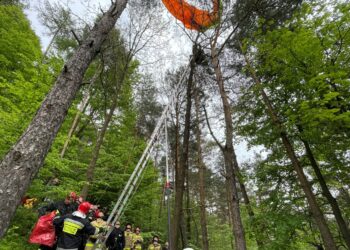 24.05.2021 Masłów. Akcja ratunkowa paralotniarza zawieszonego na drzewie / Wiktor Taszłow