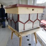 20.05.2021. Kielce. Pasieka na dachu Politechniki Świętokrzyskiej / Wiktor Taszłow / Radio Kielce