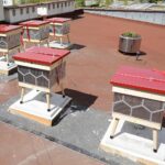 20.05.2021. Kielce. Pasieka na dachu Politechniki Świętokrzyskiej / Wiktor Taszłow / Radio Kielce