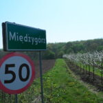 Międzygórz. Okolice ruin zamku, kwitnące sady / Emilia Sitarska / Radio Kielce