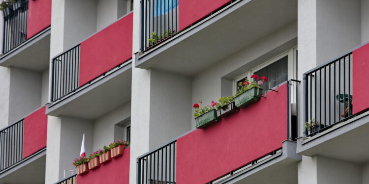 Jakie rośliny możemy już sadzić na balkonach i tarasach?