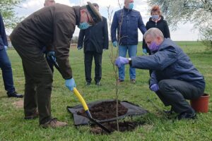 06.05.2021. Bukowie, gm. Kunów. Sadzenie buków. Na zdjęciu: Adam Podsiadło - nadleśniczy Nadleśnictwa Ostrowiec Świętokrzyski (z lewej) i Stanisław Dziułka - sołtys Bukowia / Emilia Sitarska / Radio Kielce