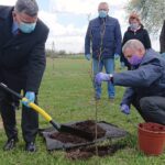 06.05.2021. Bukowie, gm. Kunów. Sadzenie buków. Na zdjęciu: Andrzej Kryj - poseł PiS (z lewej) i Stanisław Dziułka - sołtys Bukowia / Emilia Sitarska / Radio Kielce