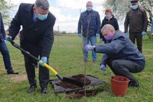 06.05.2021. Bukowie, gm. Kunów. Sadzenie buków. Na zdjęciu: Andrzej Kryj - poseł PiS (z lewej) i Stanisław Dziułka - sołtys Bukowia / Emilia Sitarska / Radio Kielce